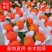 丹棱精品爱媛果冻橙.爱媛38