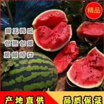 【推荐】甜王西瓜对接各大电商商超水果市场社区团购