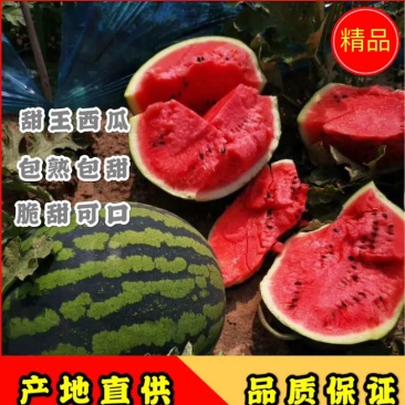 【推荐】甜王西瓜对接各大电商商超水果市场社区团购