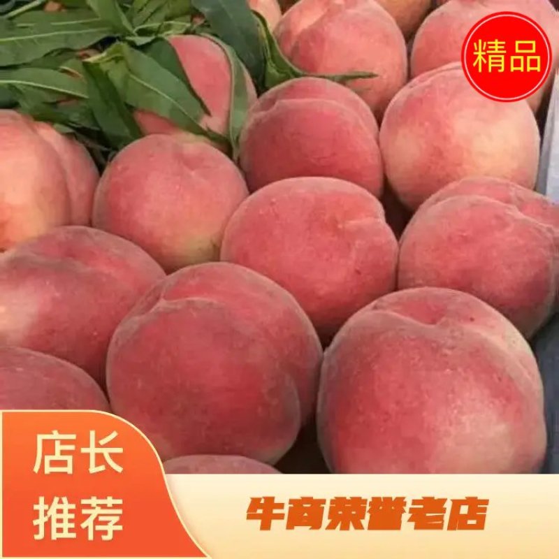 【推荐】精品突围毛桃产地直销对接各大电商，商超，社区团购