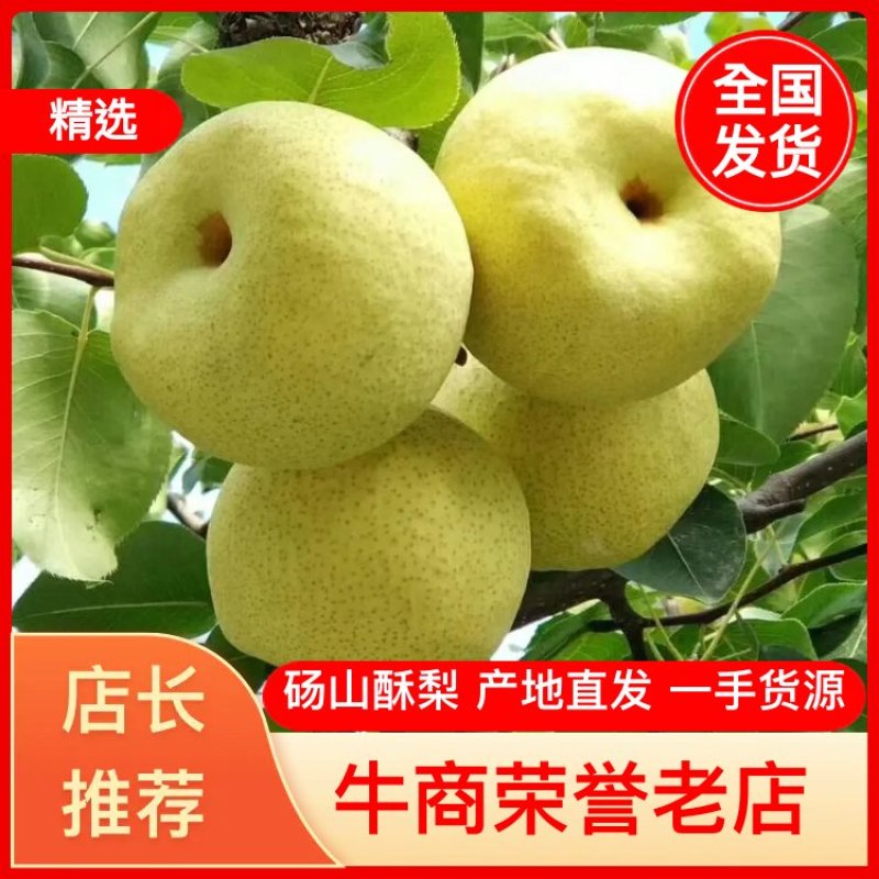 安徽砀山酥梨(商超，电商批发市场)冷库预冷全国发货
