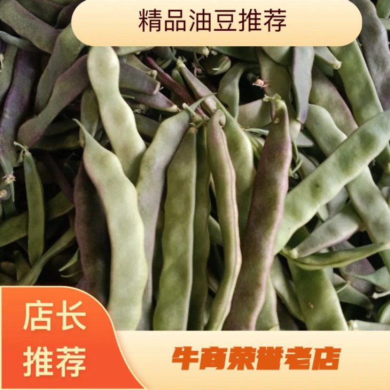 【牛商推荐】山东单县油豆角全国发货协助找车打包