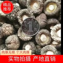 干香菇【金钱小香菇冬菇】产地批发，一元硬币大小香菇