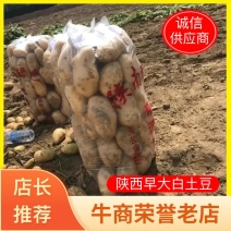 汉中沃土5号，5吨起售三两起质量好货量大