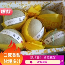 鲁厚甜甜瓜，以上市，有各种包装，兑接个大超市、批发市场