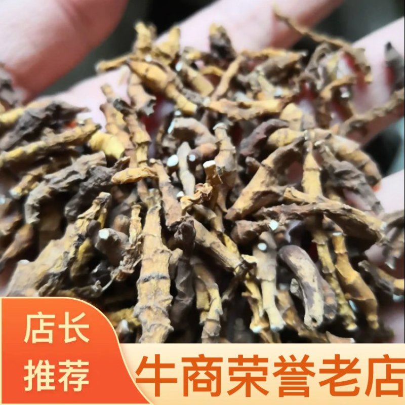 九节菖蒲新货自然生长小菖蒲量大从优