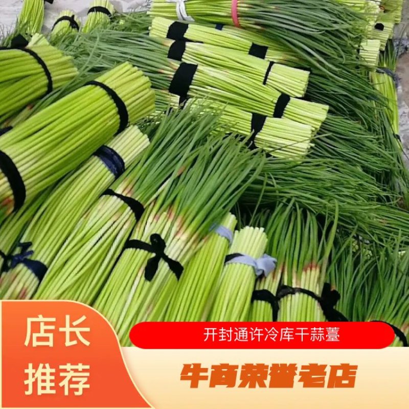 通许冷库干蒜苔，产地直发，品质保证，欢迎订购