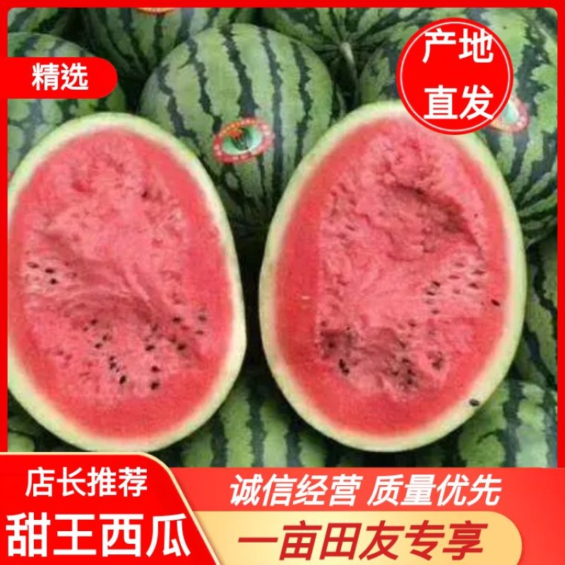 山东甜王西瓜大量上市，保质保量欢迎合作产地直发一手货源，