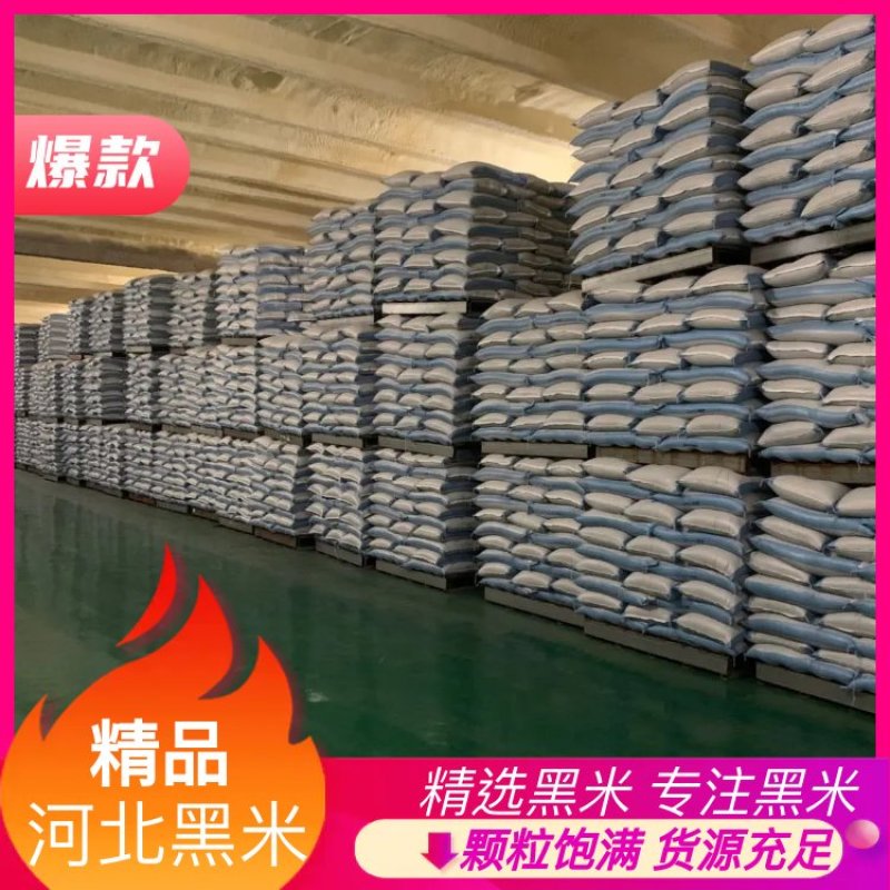 精品优质黑米产地直供质量保证价格低廉货发全国