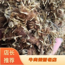 河北合欢花干货药用量大从优欢迎选购