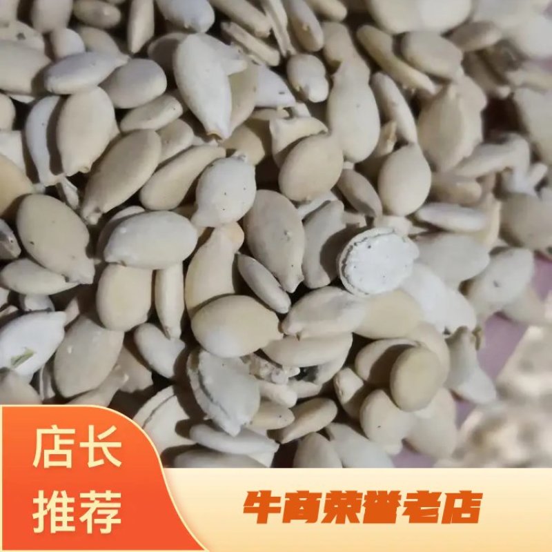 冬瓜子药食同源品质好量大从优2斤包邮欢迎选购