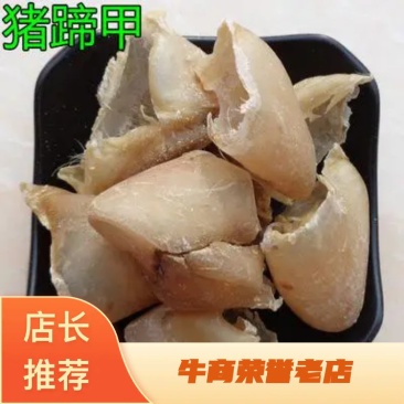 猪蹄甲干货中药材用各种规格量大从优欢迎选购