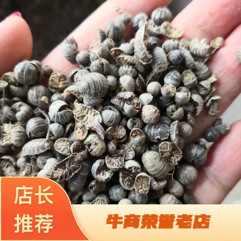 鼠妇虫干货中药材用2斤起包邮经营各种中药材