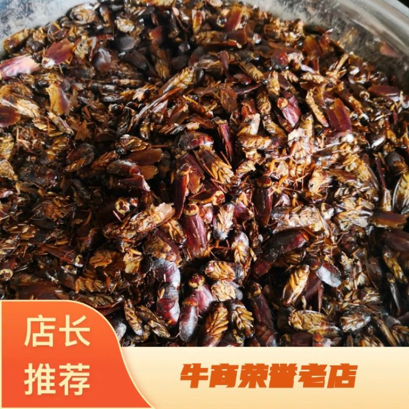 蟑螂干货药用2斤起包邮量大从优