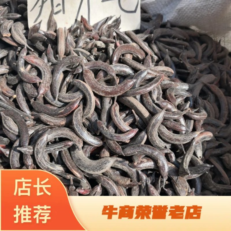 猪牙皂大小都有各种规格量大从优欢迎选购
