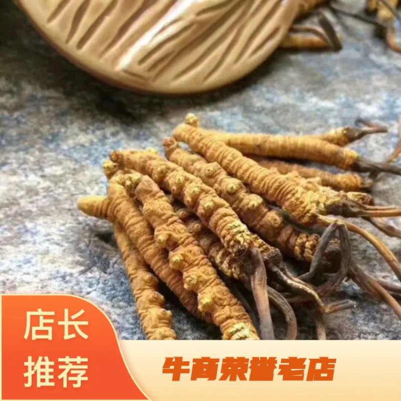 冬虫夏草散装干货各种规格10克起包邮