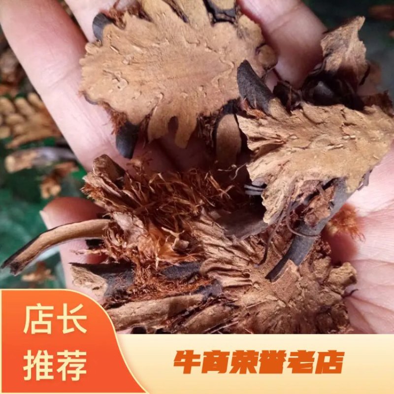 绵马贯众东北干货无硫熏天然晒干量大从优