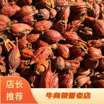 栀子江西干货肉厚含量高量大从优欢迎选购