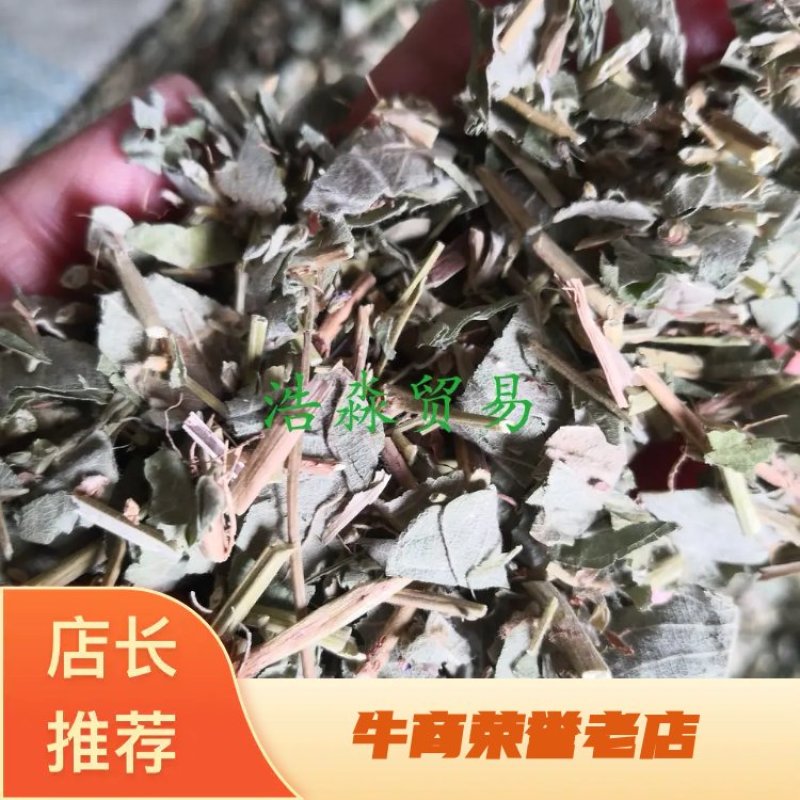 大叶金钱草干货人工种植散装量大从优