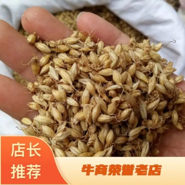 麦芽河北干货2斤起包邮欢迎选购