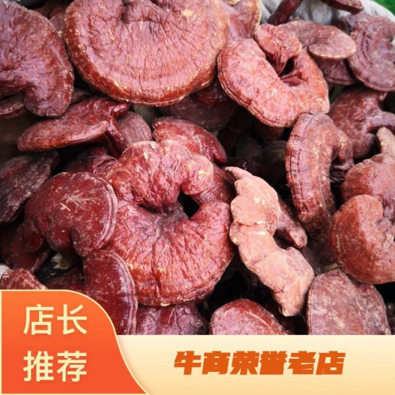 中药材灵芝山东干货人工种植2斤起包邮