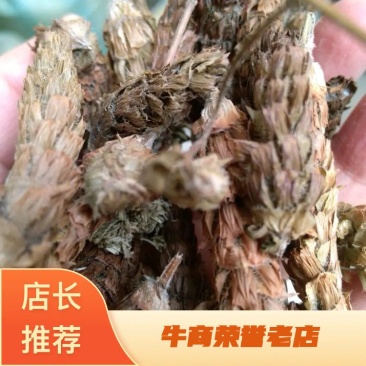 夏枯草河南干货人工种植量大从优欢迎选购