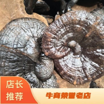 中药材灵芝干货2斤起包邮量大从优