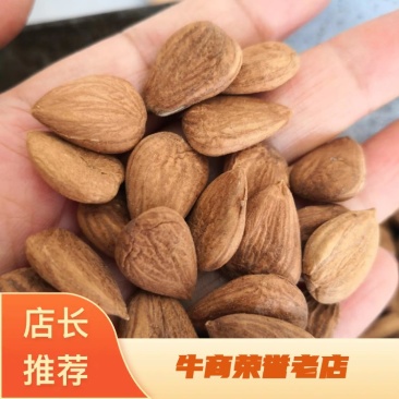 甜杏仁生带皮选货籽类饱满食用级别无硫量大从优