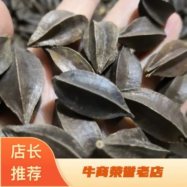 使君子选货量大从优欢迎选购常年经营各种中药材