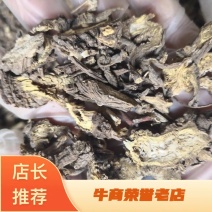 辽藁本2斤起包邮量大优惠欢迎选购