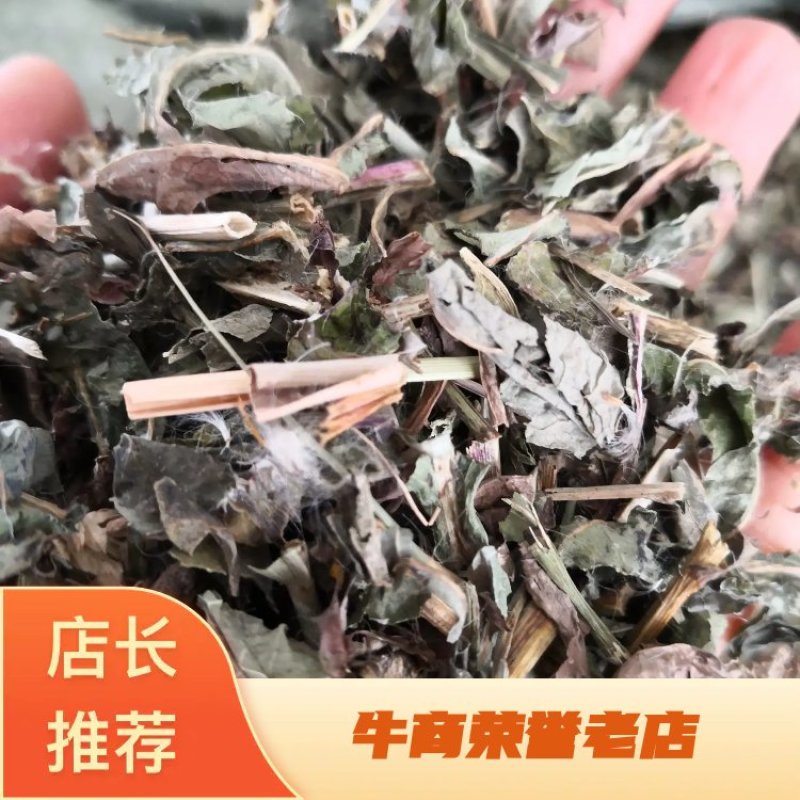 败酱草河北产地直销量大从优欢迎选购