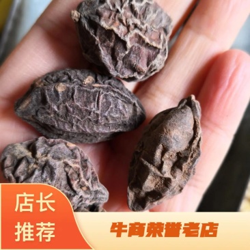 诃子诃子肉国产量大从优欢迎选购常年经营中药材