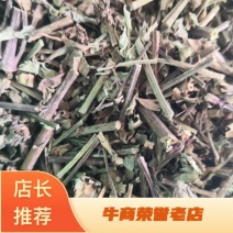 猫须草广西干货量大从优常年经营各种中药材