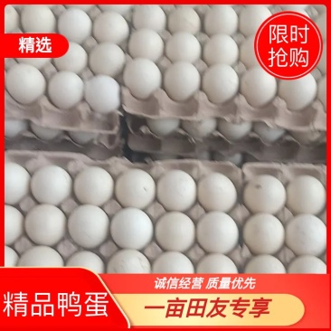 【精品鸭蛋】番鸭种蛋孵化蛋，货量充足，品质好