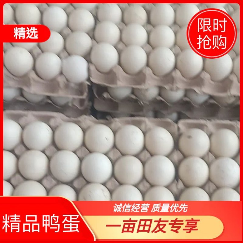 【精品鸭蛋】番鸭种蛋孵化蛋，货量充足，品质好