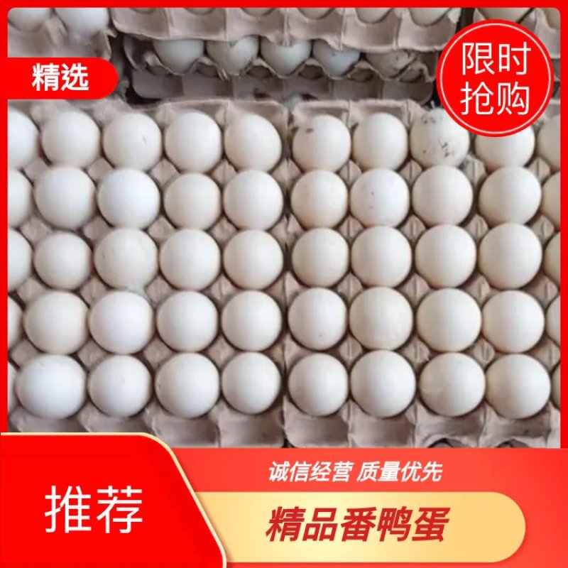 【番鸭蛋】孵化父母代番鸭蛋货量充足品质好