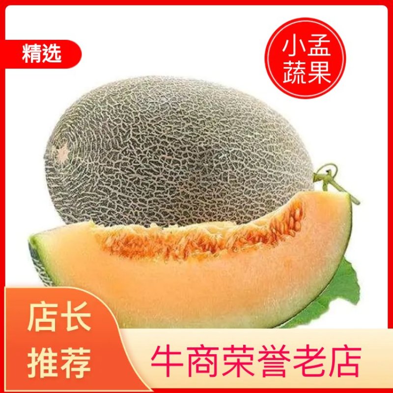 晓蜜25，西州蜜，山东一手货源，质量保证量大价优欢迎致电