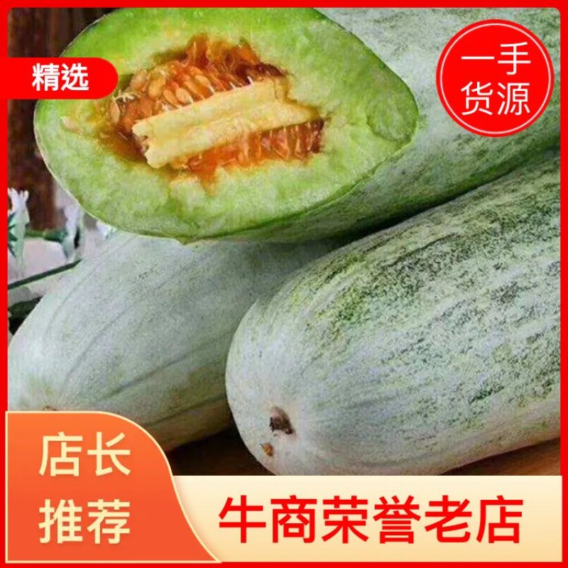 山东费县精品羊角蜜甜瓜，大量供货上市，香甜可口，一手货源