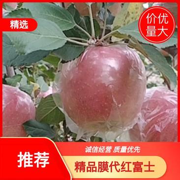 精品膜代红富士苹果，红富士苹果，产地直销，量大优惠，