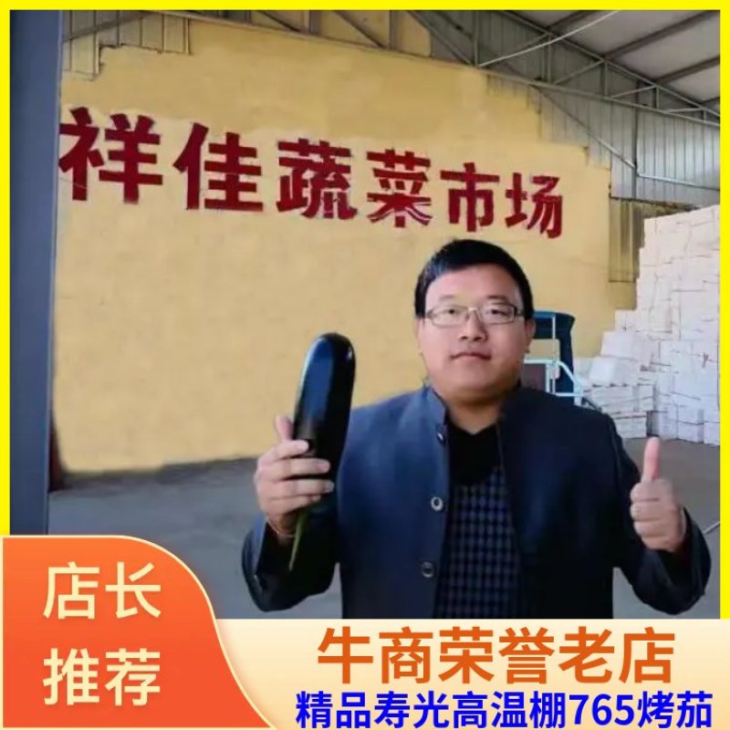 寿光原产地，绿把长茄，765长茄，商超，电商，批发商直采