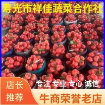 【寿光基地精品蔬菜代发，超市直供】大多数客户的选择！！！