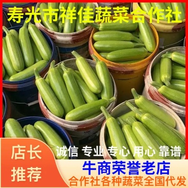 【绿皮西葫芦,消费者满意单位】以质论价,实现共赢!!!