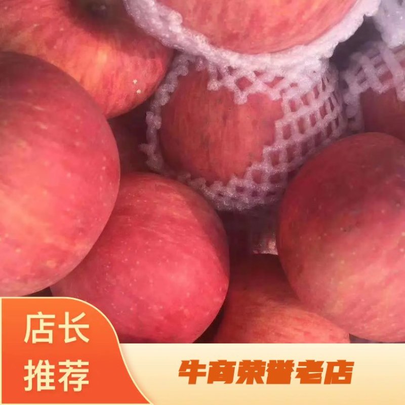 纸袋红富士,万亩产业园产地直销，大量供应