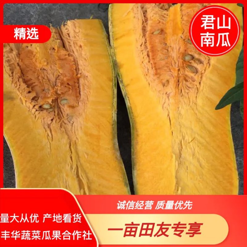 【牛商推荐】湖南岳阳金韩，早熟王中王，盘龙南瓜，品种齐全