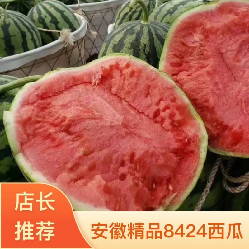 【牛商推荐】大棚8424西瓜万亩基地质量保证代发全国