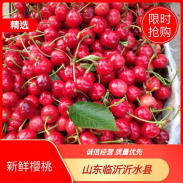 樱桃上市美早红灯红宝石品种多价格美丽货源充足质量保证