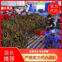 广东荔枝妃子笑产地直供对接超市与批发市场代办产地大量供应