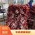 山东滨州厂家直销精品牛肉，价格实惠，货源充足，保质保量