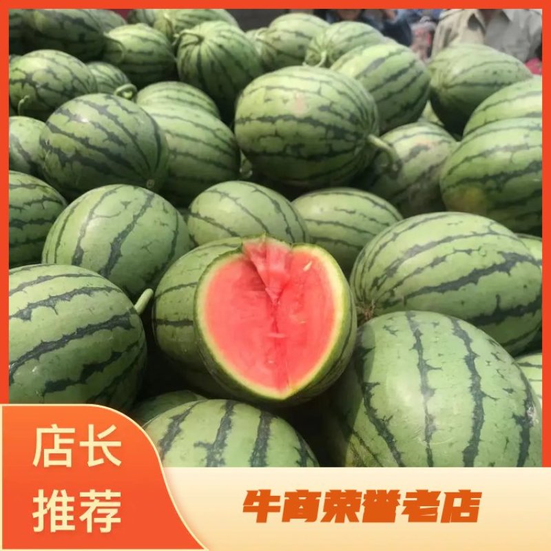 全美2k西瓜小糖丸，早春红玉，包熟包甜，诚信合作量大从优