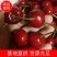 美早，新鲜采摘货源充足大量上市布鲁克斯